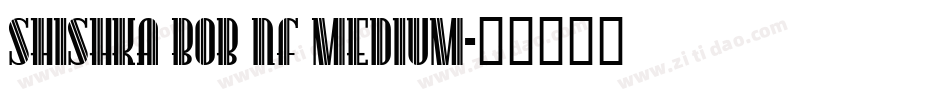 Shishka Bob NF Medium字体转换